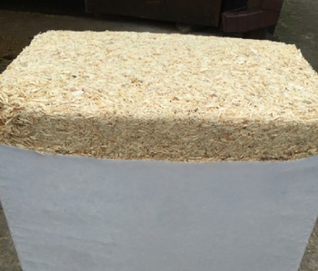 bedding horse wood shavings